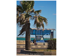 Alexandria