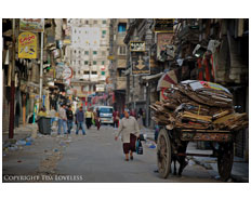 Alexandria