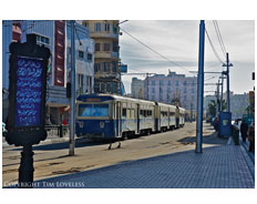 Alexandria
