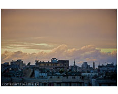 Alexandria