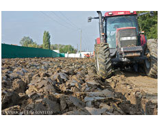 Fromelles